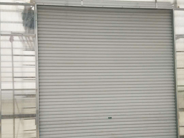 案例展示